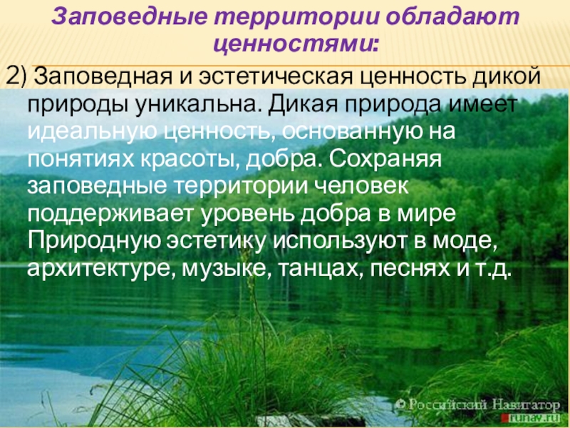 Эстетические ценности природы. Ценность природы. Заповедная 2. Природные ценности Московской области.