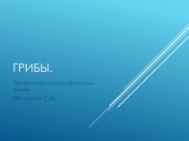 Презентация по биологии на тему Разнообразие грибов 5 класс