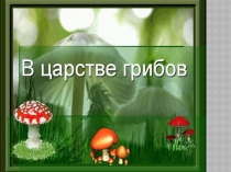 Презентация по окружающему миру В царстве грибов