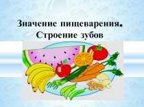 Презентация по биологии на тему Строение зубо