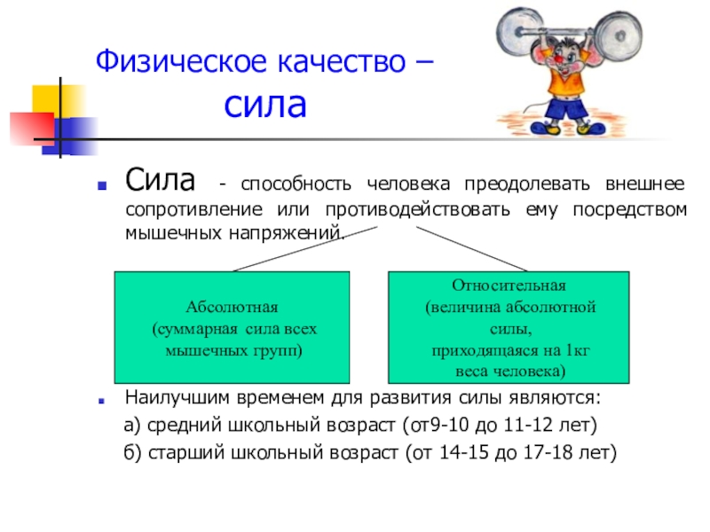 7 качеств. Физические качества. Определение физических качеств. Физические качества личности. Основные физические качества человека.