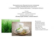 Презентация Почему трава зеленая, а молоко белое