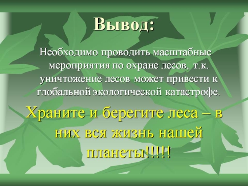 Проект по окружающему миру жизнь леса