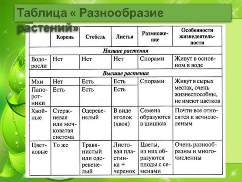 Презентация по биологии 6 класс растительные сообщества пасечник 31 параграф