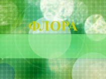 Презентация по окружающему миру Флора