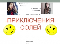 Презентация проекта Книга-сказка Приключение солей