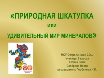 Презентация-проект по окружающему миру Природная шкатулка, 1-4 класс