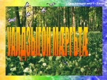 Презентация по окружающему миру 1-2 класс.