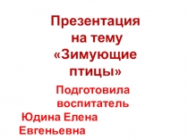 Зимующие птицы