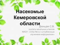 Презентация к уроку окружающего мира Насекомые Кемеровской области