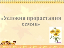Презентация к открытому занятию кружка Изучаем природу родного края