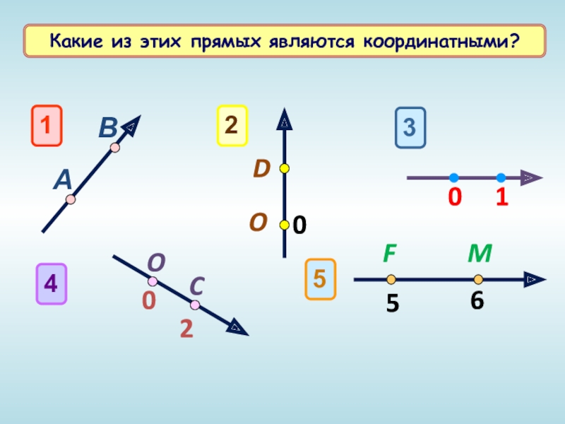 Какая из прямых является координатной. Какие из прямых на рисунке являются координатными прямыми а какие нет.