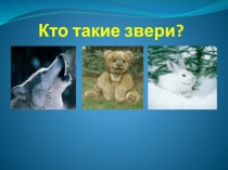 Презентация по окружающему миру Кто такие звери