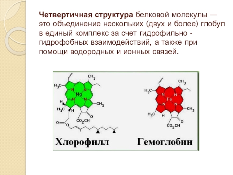 Четвертичная структура молекулы. Хлорофилл белок четвертичной структуры. Хлорофилл четвертичная структура белка. Молекулы белков образуют структуры. Четвертичная структура хлорофилла.