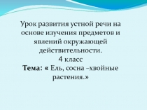 Презентация по развитию речи на тему Ель и сосна-хвойные деревья