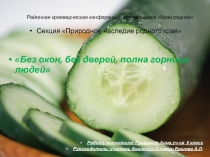 Презентация к исследовательской работе  Без окон, без дверей