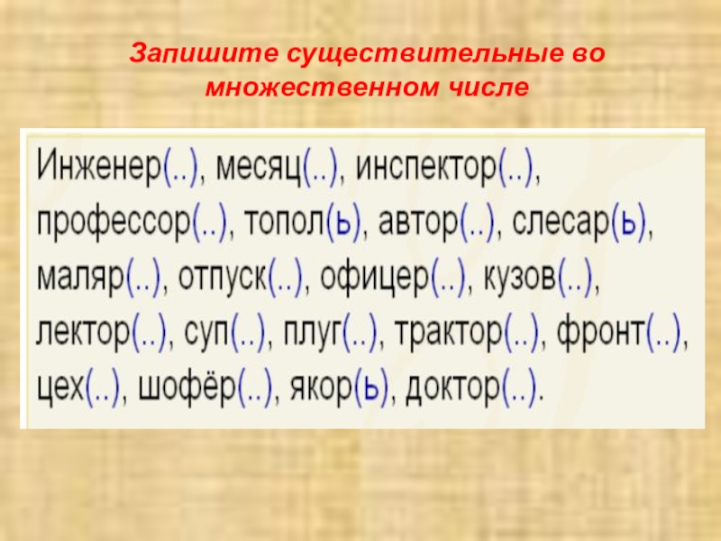 Множественное слова месяц. Задания множественное число русский язык. Запиши имена существительные во множественном числе. Единственное и множественное число имен существительных задания. Существительное во множественном числе.