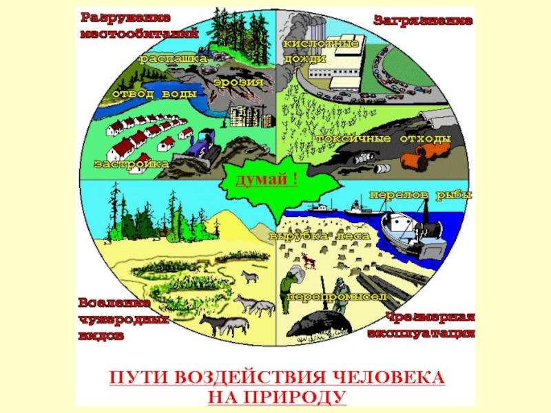 Презентация по биологии 5 класс как человек изменял природу