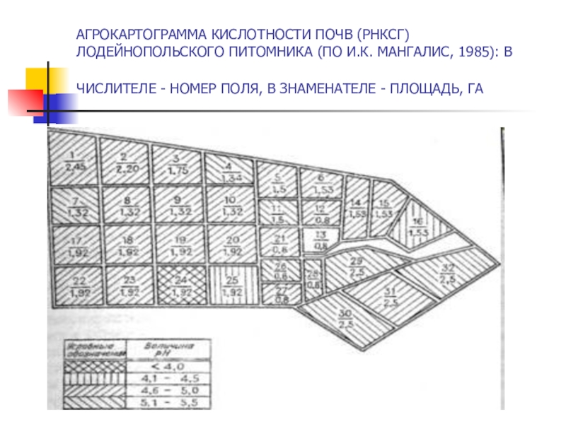 Курсовая почвоведению