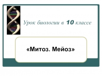 Митоз. Мейоз. Непрямое деление клеток