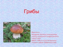 Презентация по биологии по теме :Грибы (7 класс)