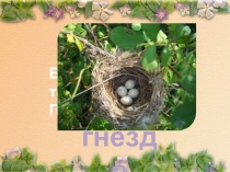 Презентация к уроку русского языка 2 класс Изложение Гнездо