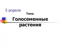 Презентация к уроку БИОЛОГИИ 5 класс. Тема: Голосеменные растения.