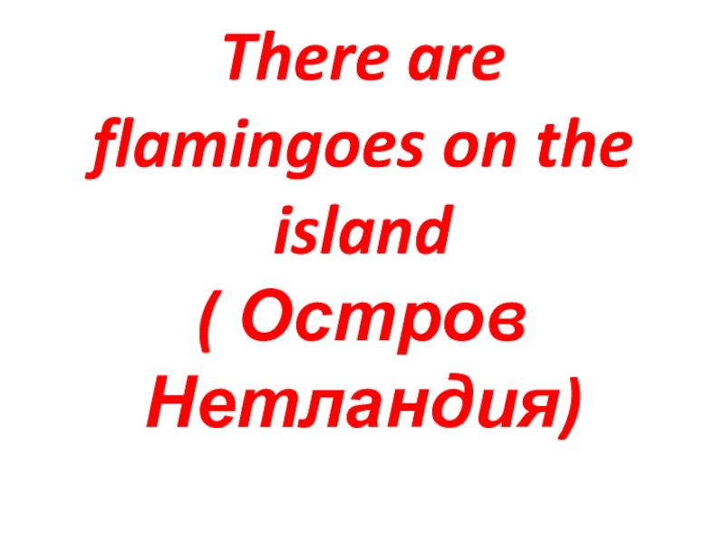 Презентация к уроку английского языка There are flamigoes on the island