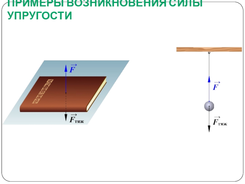 Сила упругости задачи 7 класс