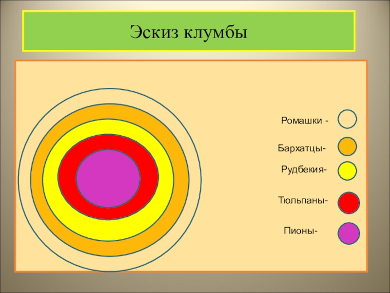 Эскиз школьной клумбы 7 класс