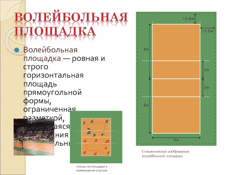 Волейбольная площадка добавьте на картинку подписи