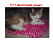 Презентация по окружающему миру Моя кошка 2 класс