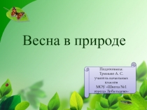 Весна в природе