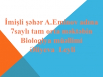 Презентация по биологии на тему Членистоногие(7класс)