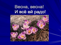 Презентация к внеклассному мероприятию Литературная гостиная: Весна, Весна! И все ей радо! 3 класс.
