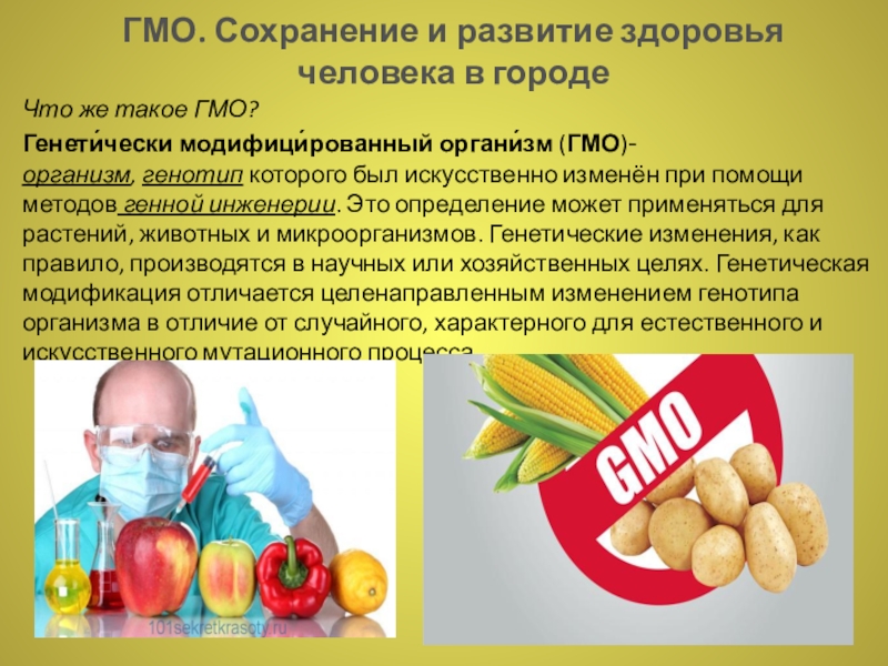 Реферат: О вреде пищи ГМО 2