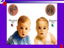 Конспект и презентация к уроку Генетика человека. Методы изучения наследственности человека. Генеалогический метод