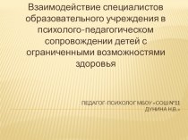 Взаимодействие специалистов образовательного учреждения в психолого-педагогическом сопровождении детей с ограниченными возможностями здоровья