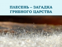 Презентация к проектной работе Плесень-загадка грибного царства