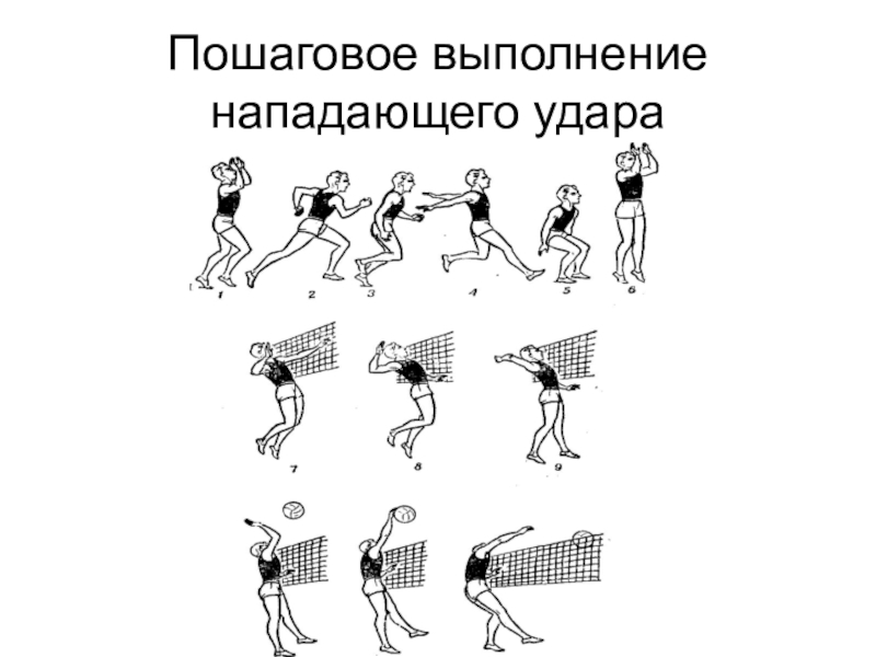 Техника волейбола. . Волейбол. Техника игры: атакующий удар (прямой, боковой).. Волейбол блокирование нападающий удар техника. Блокирование и нападающий удар в волейболе. Прямой нападающий удар мяча в волейболе.