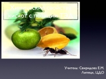 Презентация по теме Химические свойства кислот с позиции ТЭД