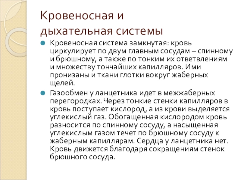 Кровеносная и дыхательная системыКровеносная система замкнутая: кровь циркулирует по двум главным сосудам – спинному и брюшному, а также