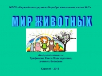 Презентация к внеклассному мероприятию Своя игра