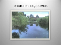 Растения водоемов