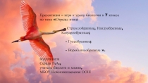 Презентация - игра по биологии на тему Отряды птиц: Страусообразные, Нандуобразные, Казуарообразные; Гусеобразные; Воробьинообразные