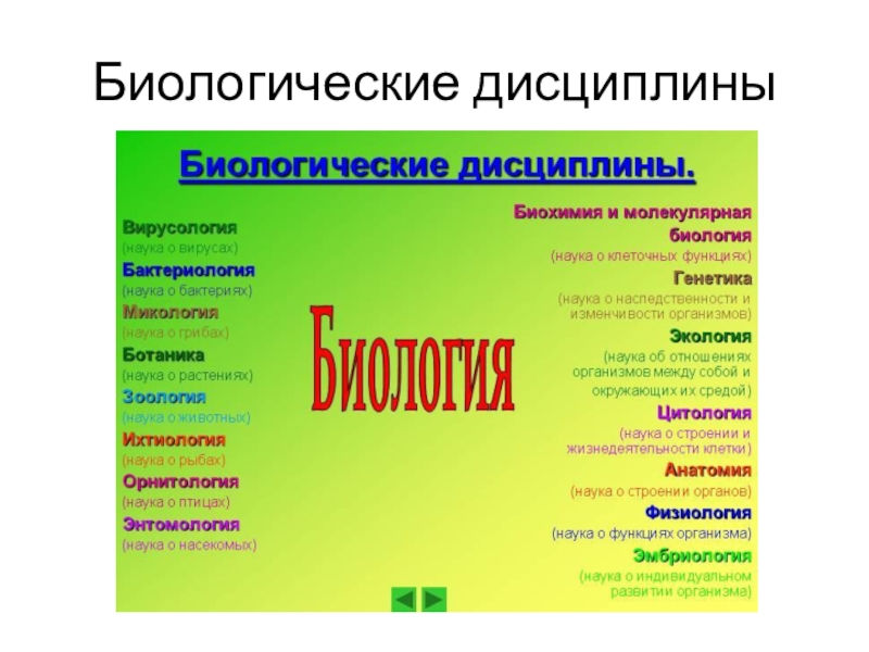 Обобщающий урок по биологии 5 класс презентация