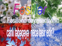 Весна, лето, осень и зима