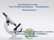 Презентация по биологии на тему Папоротниковидные (7класс)