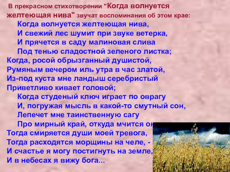 Стихотворение когда волнуется нива. Когда волнуется желтеющая Нива Лермонтов. Стихотворение когда волнуется желтеющая Нива. Стихотворение когда волнуется. Проблематика стихотворения это.