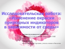 Исследовательская работа по химии на тему Изменение окраски природных индикаторов в зависимости от среды (8 класс)